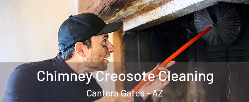 Chimney Creosote Cleaning Cantera Gates - AZ