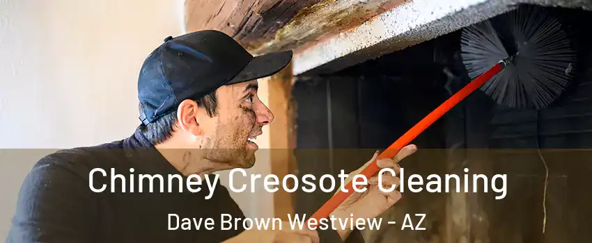 Chimney Creosote Cleaning Dave Brown Westview - AZ
