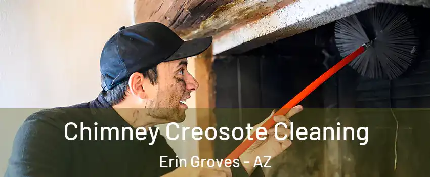 Chimney Creosote Cleaning Erin Groves - AZ