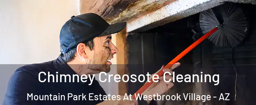 Chimney Creosote Cleaning Mountain Park Estates At Westbrook Village - AZ
