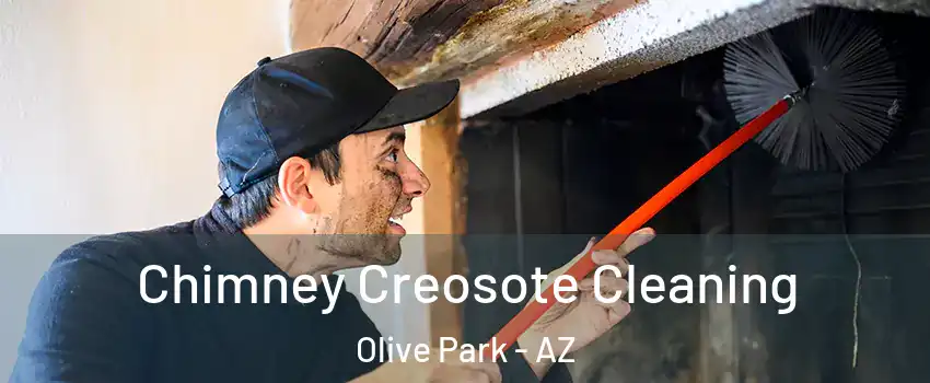 Chimney Creosote Cleaning Olive Park - AZ