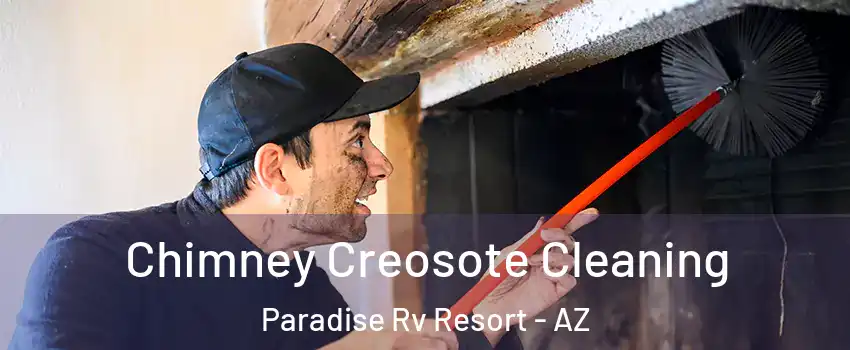 Chimney Creosote Cleaning Paradise Rv Resort - AZ