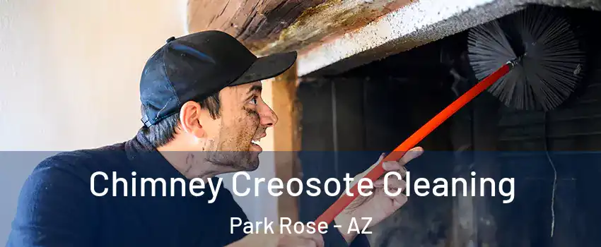 Chimney Creosote Cleaning Park Rose - AZ