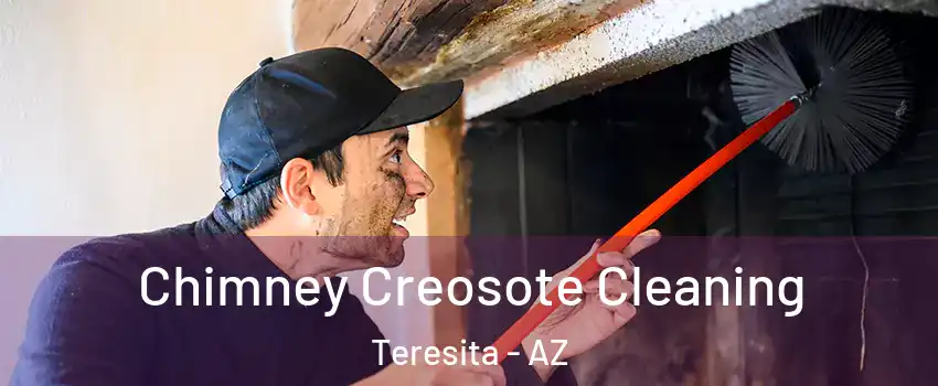 Chimney Creosote Cleaning Teresita - AZ