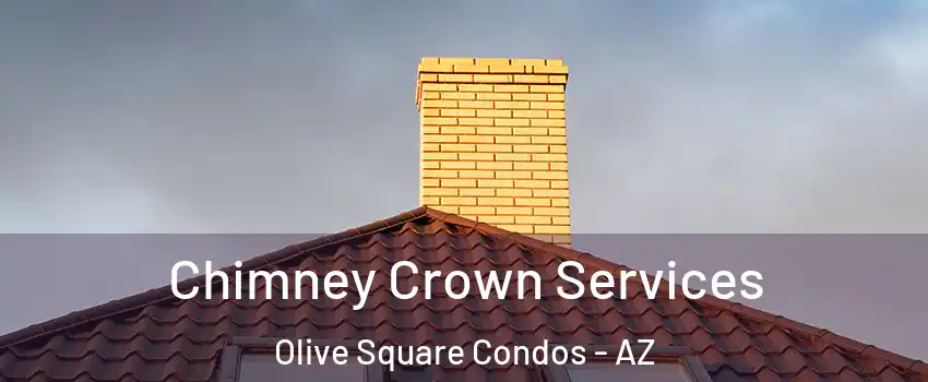 Chimney Crown Services Olive Square Condos - AZ