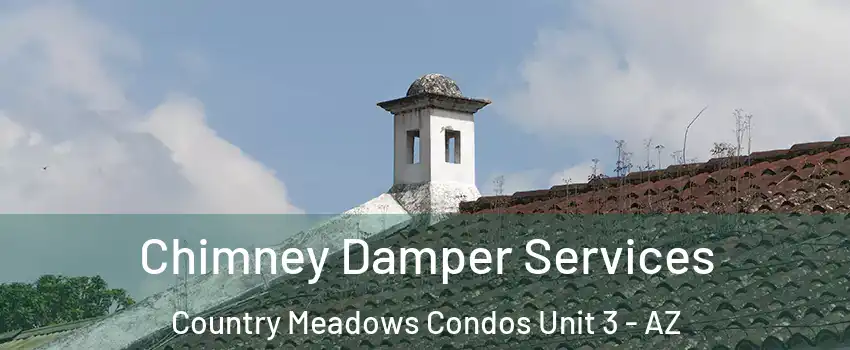 Chimney Damper Services Country Meadows Condos Unit 3 - AZ
