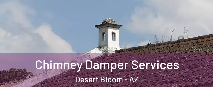 Chimney Damper Services Desert Bloom - AZ
