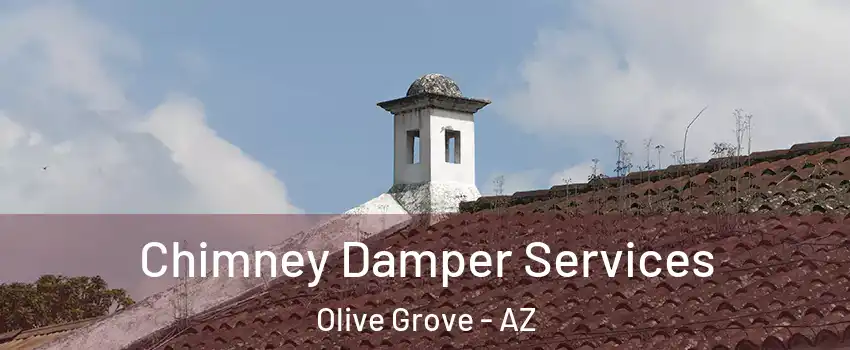 Chimney Damper Services Olive Grove - AZ