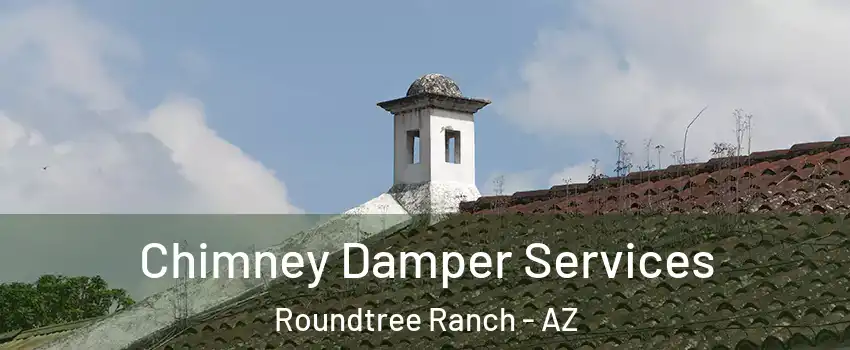 Chimney Damper Services Roundtree Ranch - AZ