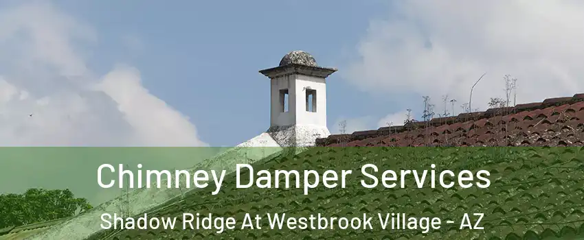 Chimney Damper Services Shadow Ridge At Westbrook Village - AZ
