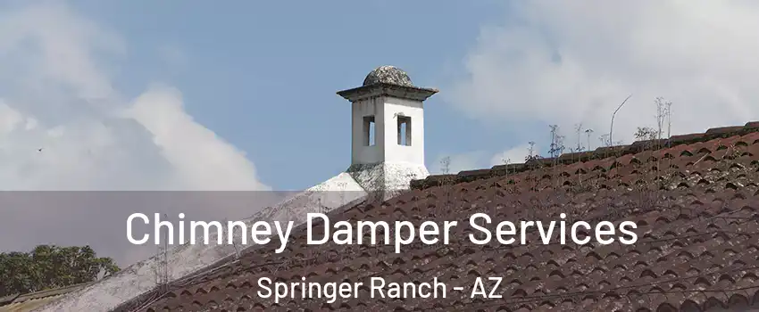 Chimney Damper Services Springer Ranch - AZ