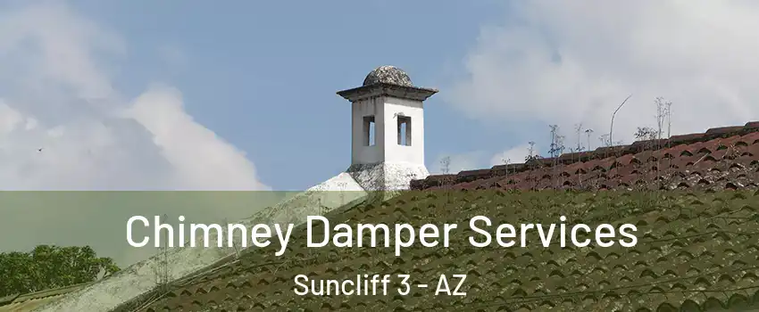 Chimney Damper Services Suncliff 3 - AZ