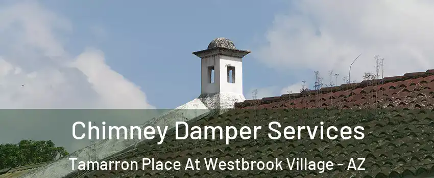 Chimney Damper Services Tamarron Place At Westbrook Village - AZ