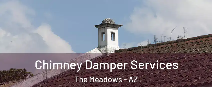 Chimney Damper Services The Meadows - AZ