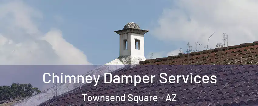 Chimney Damper Services Townsend Square - AZ
