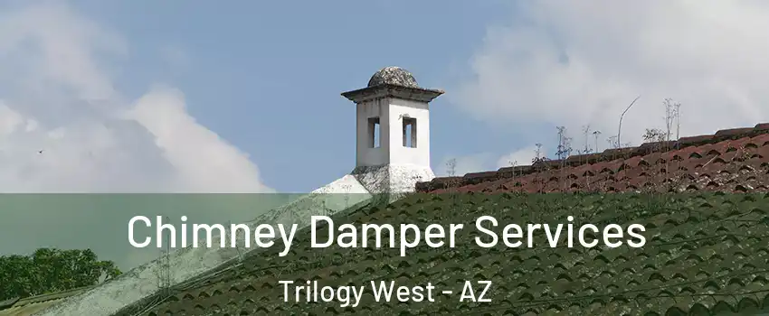 Chimney Damper Services Trilogy West - AZ
