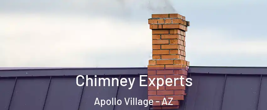 Chimney Experts Apollo Village - AZ