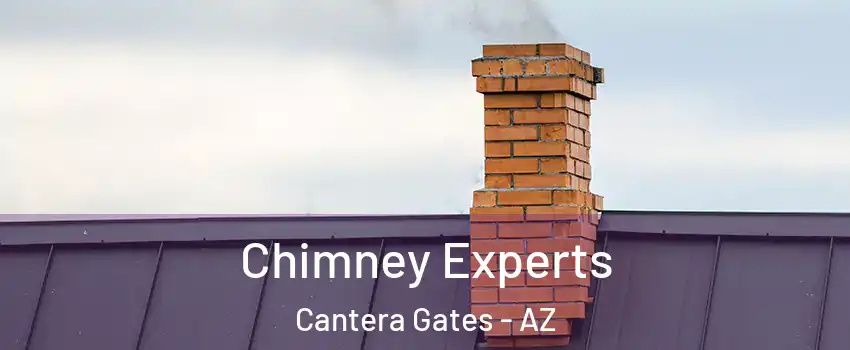 Chimney Experts Cantera Gates - AZ