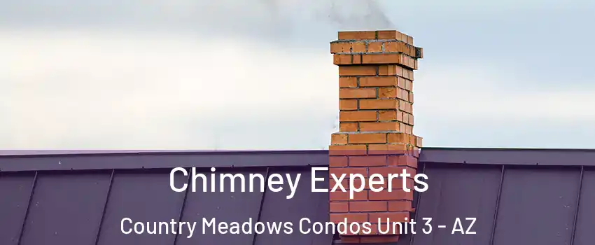 Chimney Experts Country Meadows Condos Unit 3 - AZ