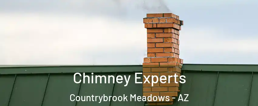 Chimney Experts Countrybrook Meadows - AZ