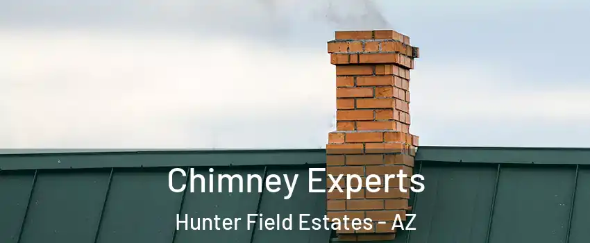 Chimney Experts Hunter Field Estates - AZ