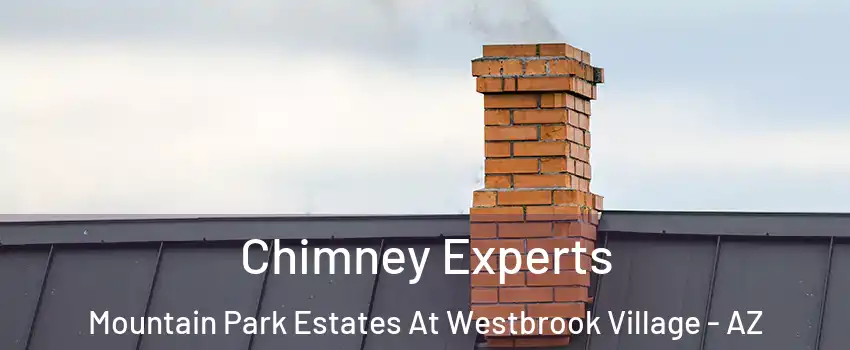 Chimney Experts Mountain Park Estates At Westbrook Village - AZ