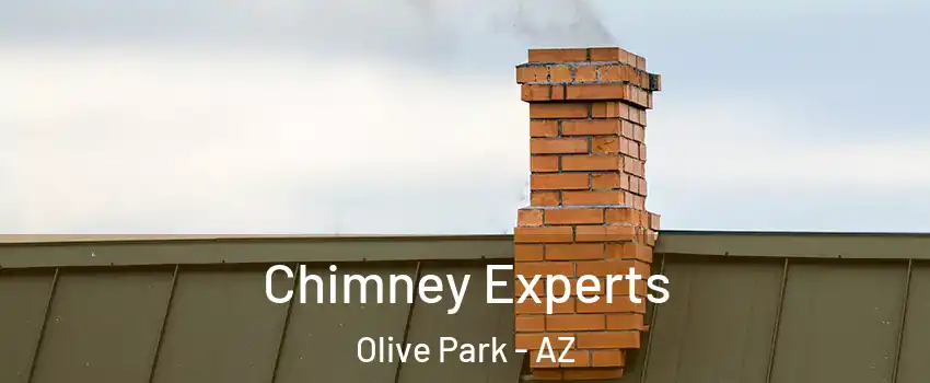 Chimney Experts Olive Park - AZ