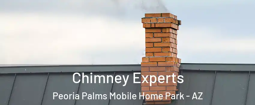 Chimney Experts Peoria Palms Mobile Home Park - AZ