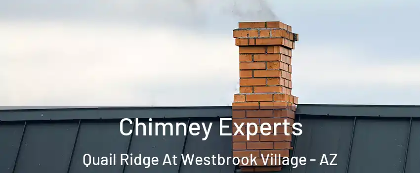 Chimney Experts Quail Ridge At Westbrook Village - AZ