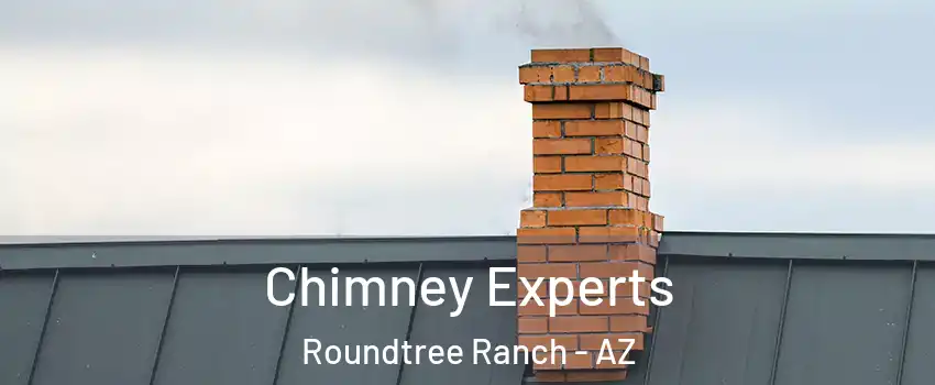 Chimney Experts Roundtree Ranch - AZ
