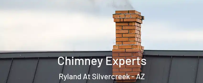 Chimney Experts Ryland At Silvercreek - AZ