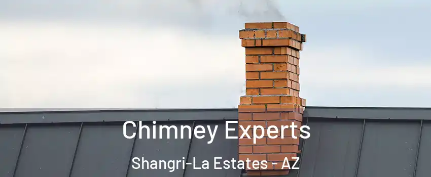 Chimney Experts Shangri-La Estates - AZ