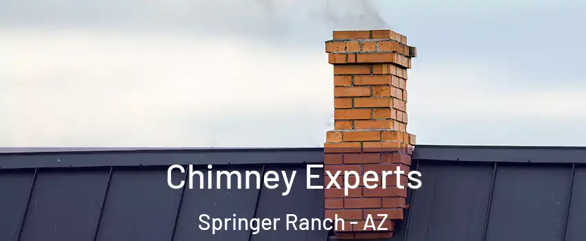 Chimney Experts Springer Ranch - AZ