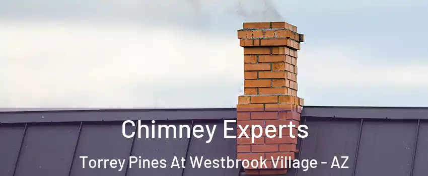 Chimney Experts Torrey Pines At Westbrook Village - AZ