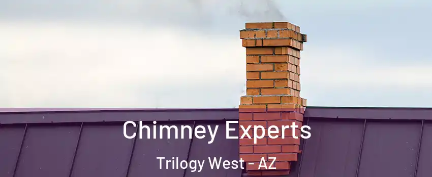Chimney Experts Trilogy West - AZ