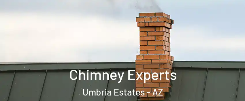 Chimney Experts Umbria Estates - AZ