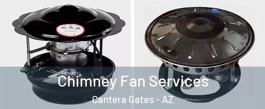 Chimney Fan Services Cantera Gates - AZ