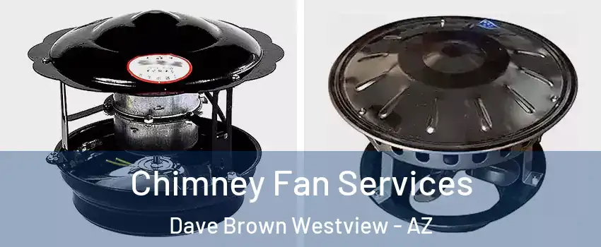 Chimney Fan Services Dave Brown Westview - AZ