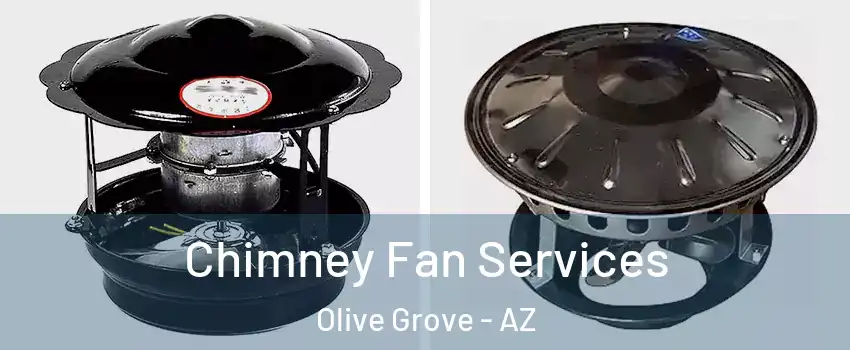 Chimney Fan Services Olive Grove - AZ
