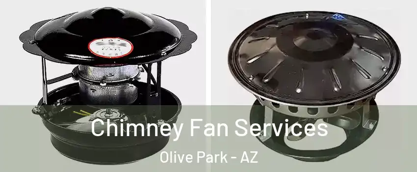 Chimney Fan Services Olive Park - AZ