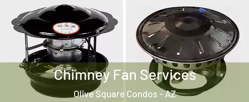 Chimney Fan Services Olive Square Condos - AZ