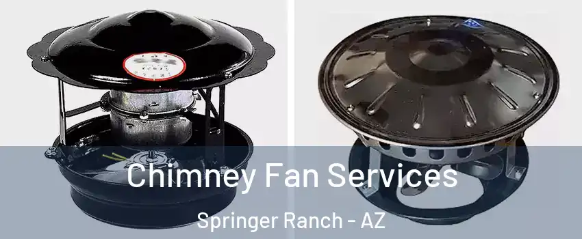 Chimney Fan Services Springer Ranch - AZ