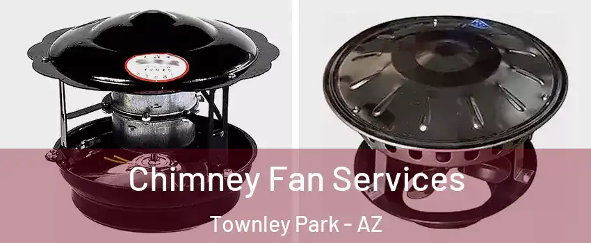 Chimney Fan Services Townley Park - AZ