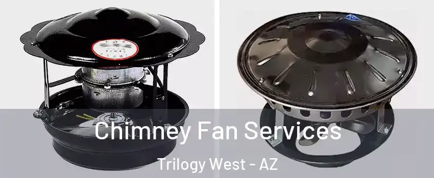 Chimney Fan Services Trilogy West - AZ