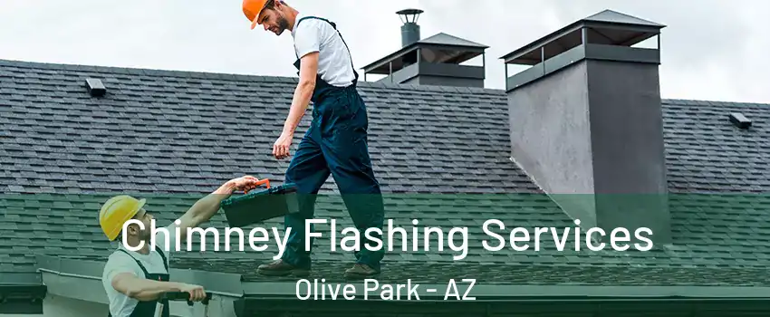 Chimney Flashing Services Olive Park - AZ