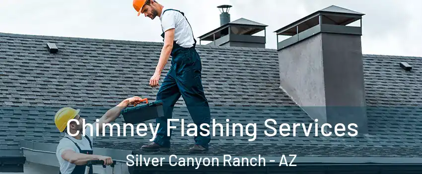 Chimney Flashing Services Silver Canyon Ranch - AZ
