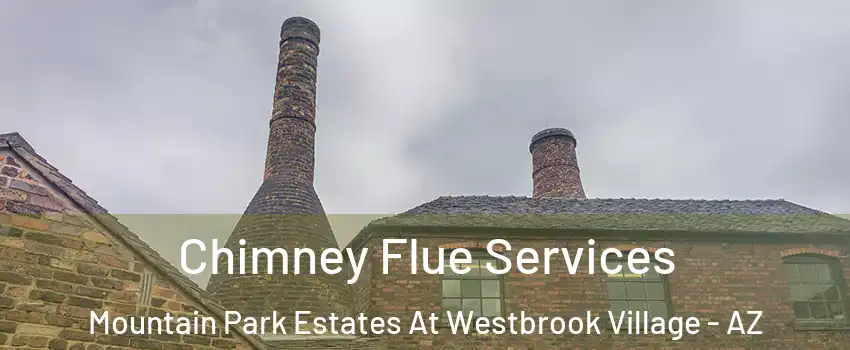 Chimney Flue Services Mountain Park Estates At Westbrook Village - AZ