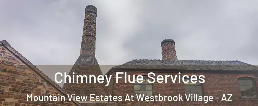 Chimney Flue Services Mountain View Estates At Westbrook Village - AZ