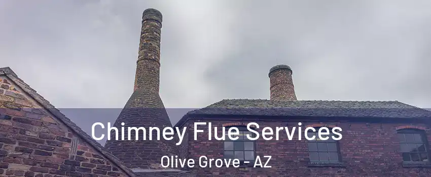 Chimney Flue Services Olive Grove - AZ