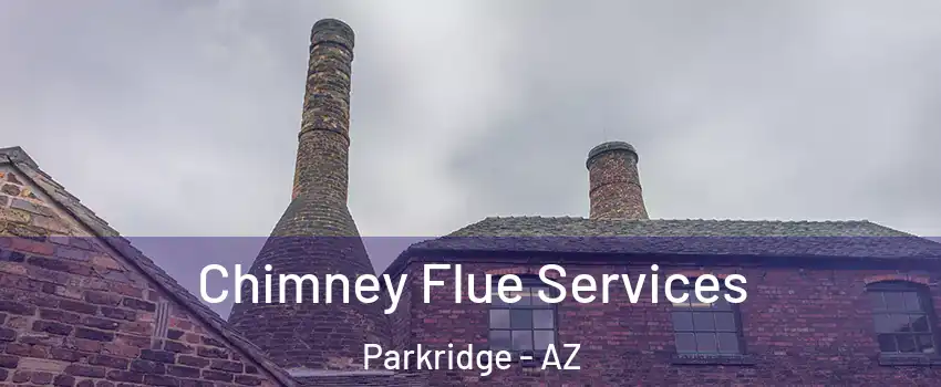 Chimney Flue Services Parkridge - AZ
